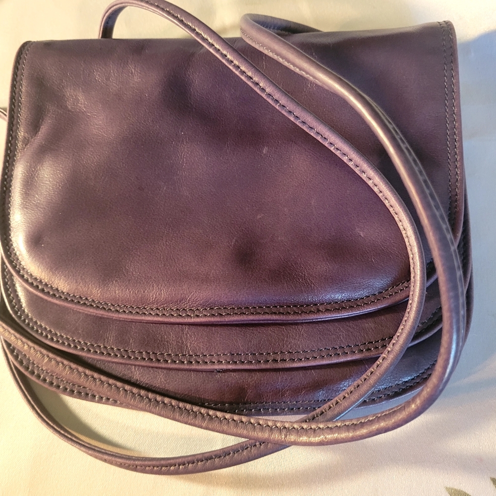Francesco Biasia Elegant Plum/Gray Leather Women's Bag